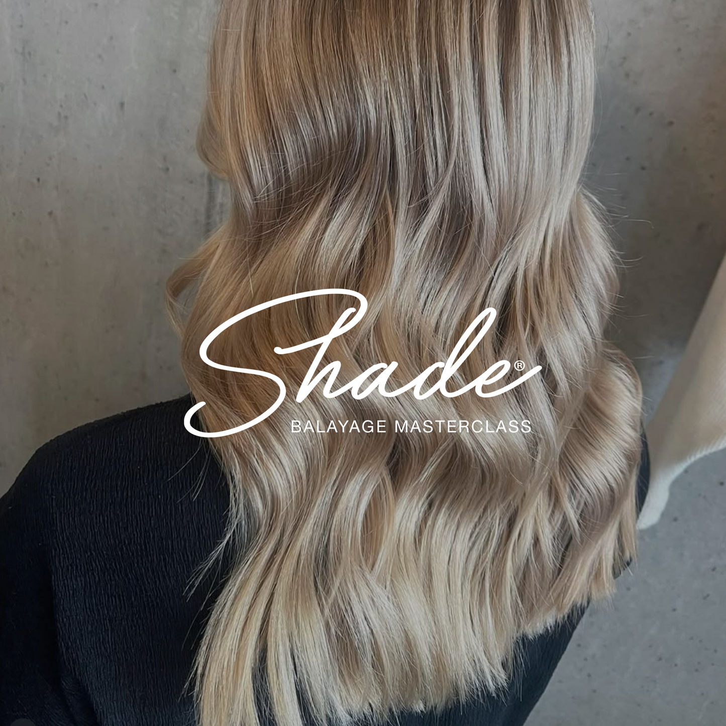 Balayage Masterclass by Shade