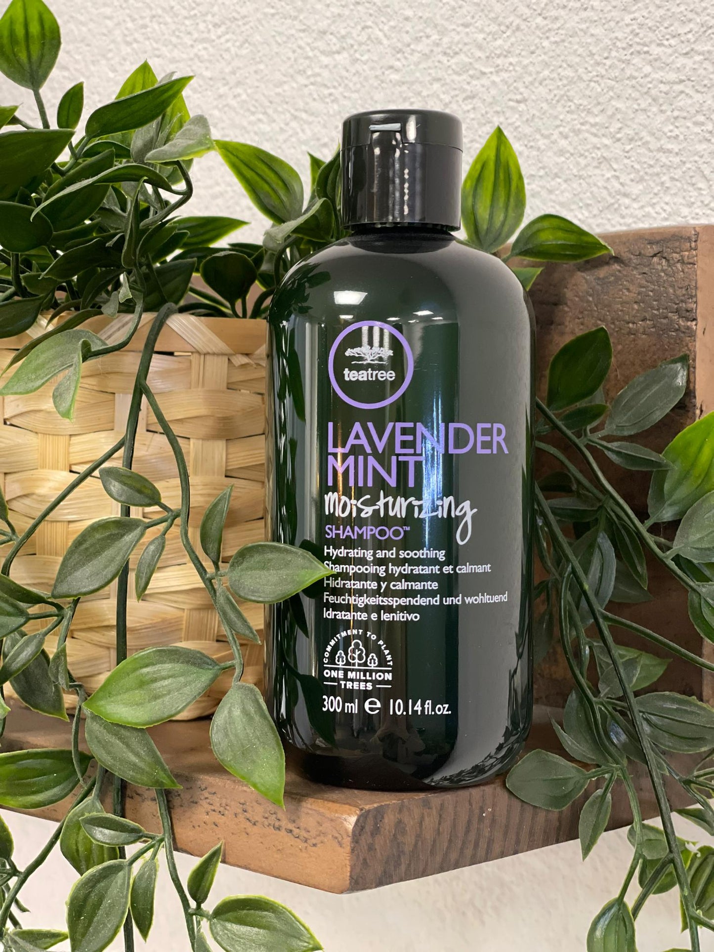 Tea Tree - Lavender Mint - Moisturizing Shampoo